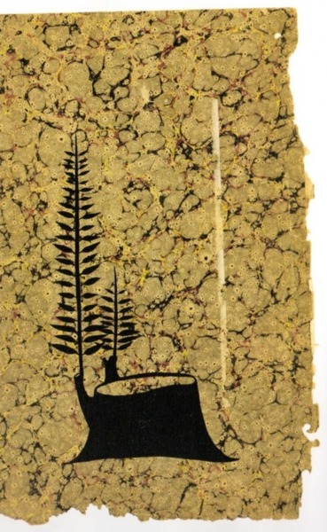 tumblr_lkmpl0d5Al1qbqwc2o1_400